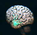 Hologram-BrainstormResizeA.jpg (11356 bytes)